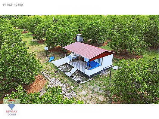 REMAX DOĞUDAN EKRÜZDE SATILIK CEVİZ BAHÇESİ - ELAZIĞ MERKEZ fotoğraf 3