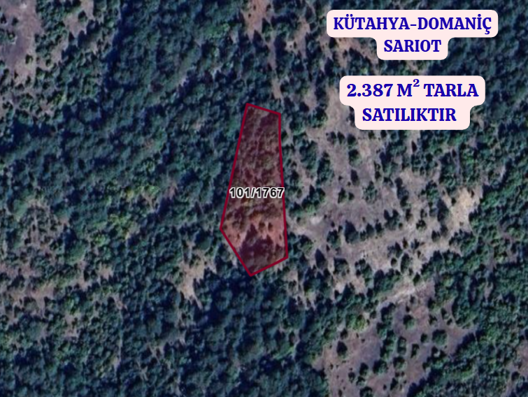 KÜTAHYA DOMANİÇ SARIOT  KÖYÜNDE 2.387 M² TARLA SATILIKTIR - KÜTAHYA DOMANİÇ fotoğraf 2