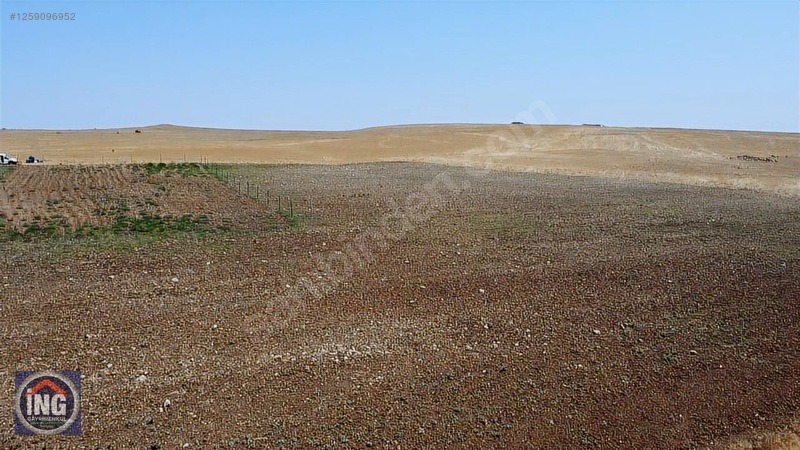 ÇİFTLİK YAPIMINA UYGUN, 2 MİLYON DÖNÜM MERAYA CEPHE ARAZİ - KIRKLARELİ MERKEZ fotoğraf 15