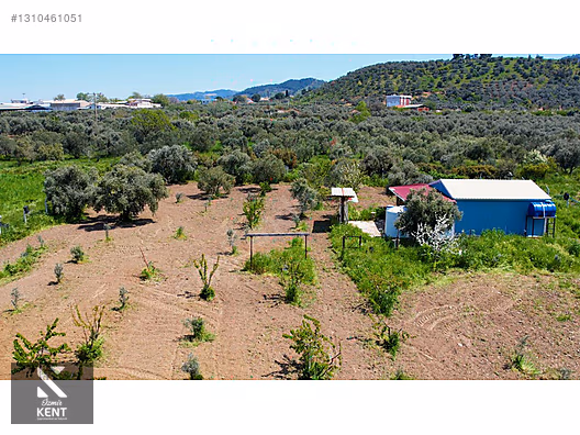 Kemalpaşa Halilbeylide Satılık 3000 m2 Bahçe 40 m2 Ev - İZMİR KEMALPAŞA fotoğraf 6