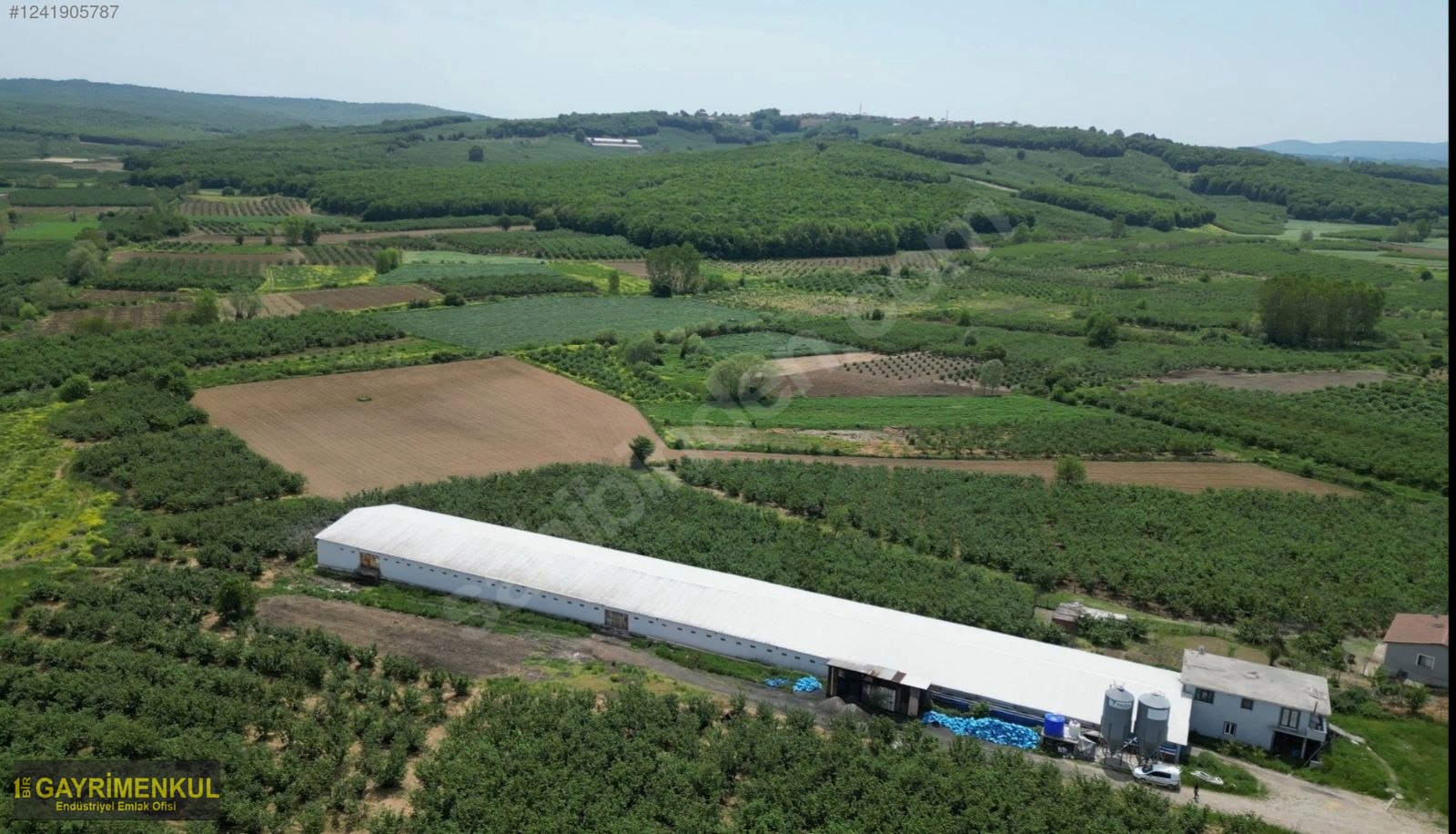 11.752 M² FIRSAT FINDIK BAHÇESİ SAKARYA KAYNARCA ZİAHMET MAH. - SAKARYA KAYNARCA fotoğraf 23