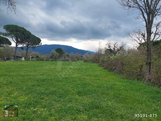 İZMİR BERGAMA KOZAK YAYLASI YUKARIBEY MAH DE 17600M2 TARLA % 5 TARIM İMARLI - İZMİR BERGAMA fotoğraf 5