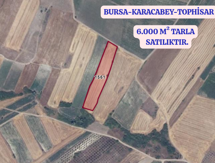 BURSA KARACABEY TOPHİSAR  KÖYÜNDE 6.000 M² TARLA SATILIKTIR - BURSA KARACABEY fotoğraf 2
