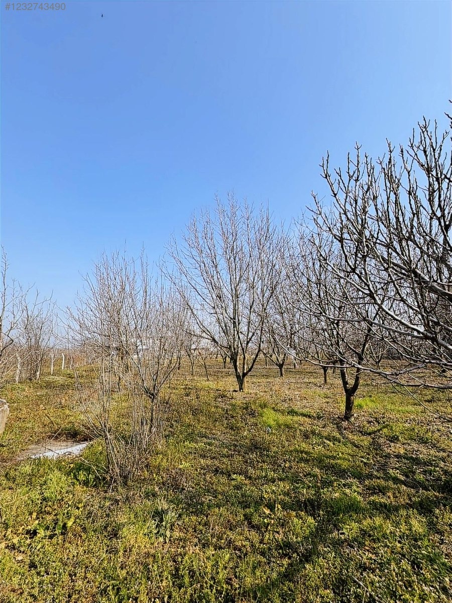 VAKIFTA 7 DÖNÜM ARSA VE İÇERİWİNDE 5 DAİRE 1 DÜKKAN - BURSA YILDIRIM fotoğraf 13