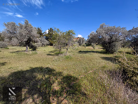 Kemalpaşa Dereköy'de Satılık 4850 m2 Bahçe - İZMİR KEMALPAŞA fotoğraf 12