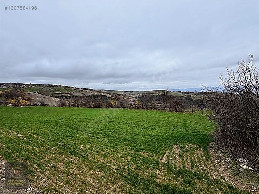 SAMSUN VEZİRKÖPRÜ ÇAMLIDERE'DE 6.670 M2 UYGUN ARSA - SAMSUN VEZİRKÖPRÜ fotoğraf 18