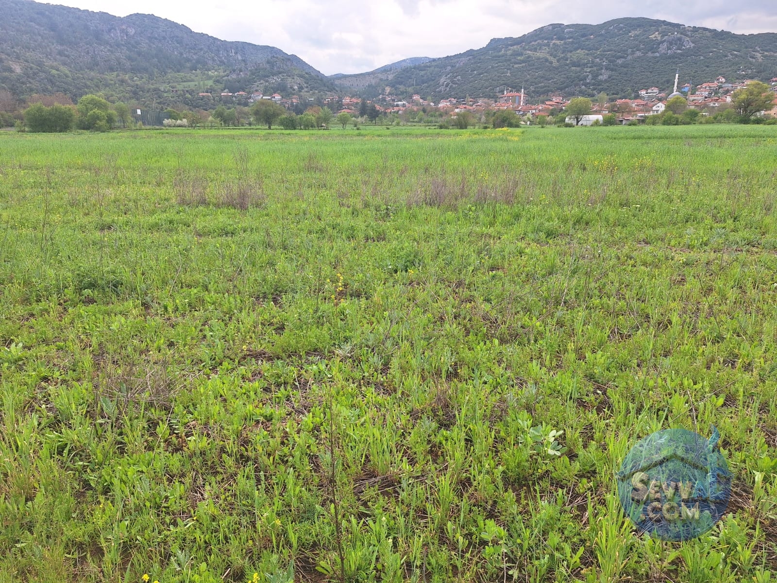 ASYA EMLAKTAN BURDUR AĞLASUN HİSARKÖY DE SATILIK FIRSAT TARLA - Burdur Ağlasun fotoğraf 4