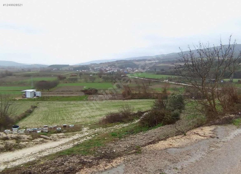 BURSA KARACABEY ÇAMLICA KÖYÜNDE 2.250  M² TARLA SATILIKTIR - BURSA KARACABEY fotoğraf 6