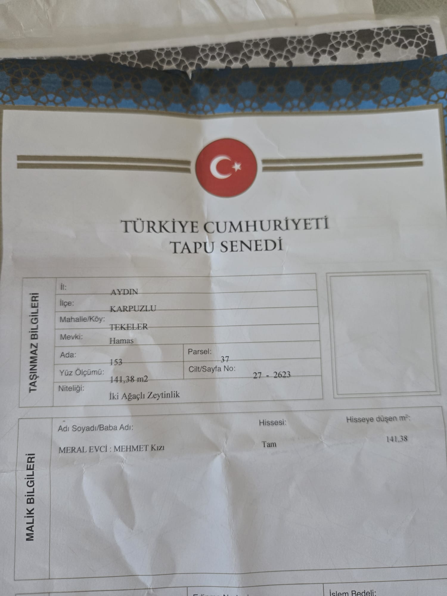 AYDIN KARPUZLU TEKELER  KÖYÜNDE 141  M²  ZEYTİNLİK  SATILIKTIR - AYDIN KARPUZLU fotoğraf 7