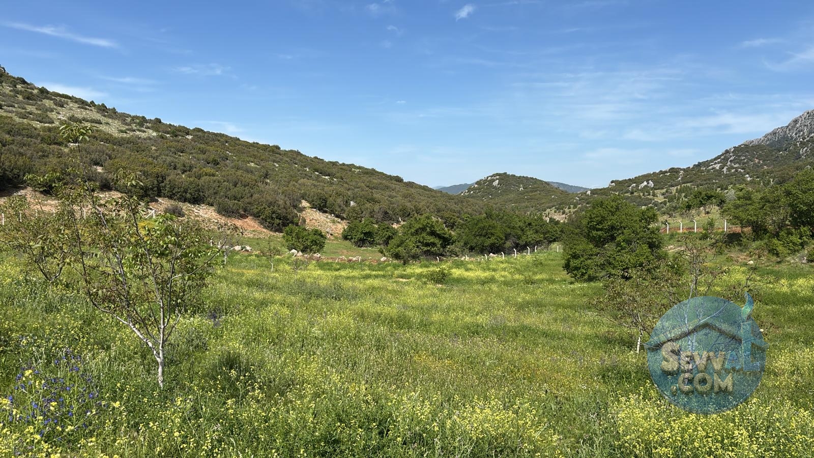 AĞLASUN ÇANAKLI KÖYÜNDE SATILIK CEVİZLİK - Burdur Ağlasun fotoğraf 8