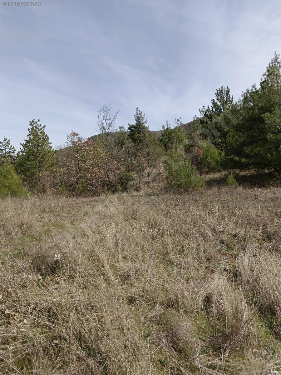 BURSA KELEŞ BELENÖREN'DE 551  M² BAHÇE SATILIKTIR - BURSA KELES fotoğraf 10