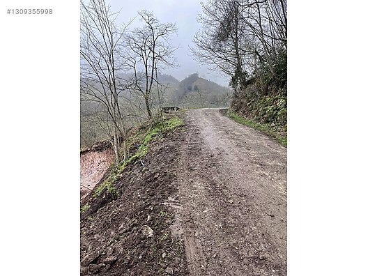 ESPİYE KAŞDİBİ KÖYÜ 4,5 DÖNÜM MANDIRA YERİ EŞILMIŞ - GİRESUN ESPİYE fotoğraf 6