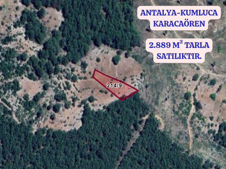 ANTALYA KUMLUCA KARACAÖREN KÖYÜNDE 2.889 M²  TARLA  SATILIKTIR - ANTALYA KUMLUCA fotoğraf 2