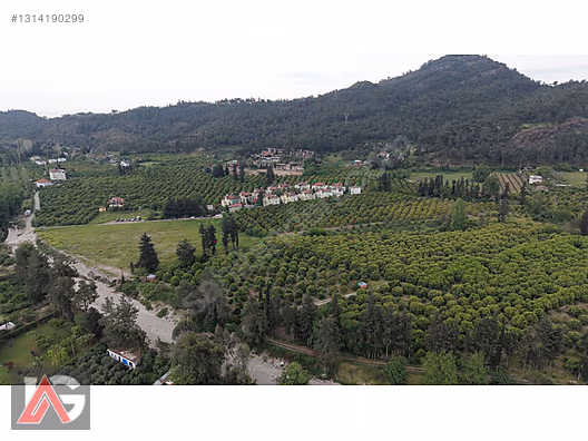 Kemer Kuzderede Yatırımlık & Verimli 15 Dönüm Narenciye Bahçesi - ANTALYA KEMER fotoğraf 5