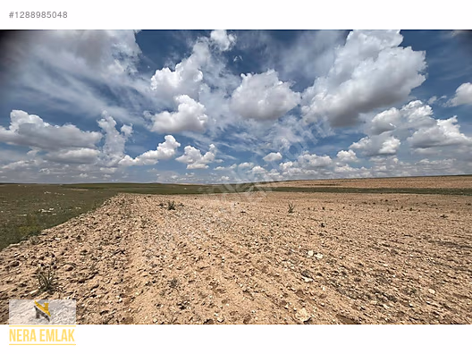 DEPOLAMAYERİ-HAYVANCILIK-ÇİFTLİK KURULUMUNA UYGNTEKTAPU 18.400m2 - KONYA CİHANBEYLİ fotoğraf 10