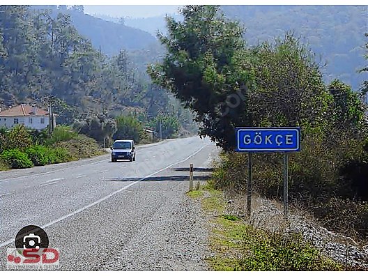 Muğla Ula Gökçe Köyü Fırsat Narenciye Bahçesi - MUĞLA ULA fotoğraf 6