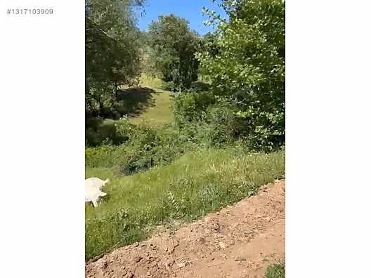ÇANAKKALE BAYRAMİÇ SERHAT KÖYÜ 526 m2 % 80 İMARLI ARSA - ÇANAKKALE BAYRAMİÇ fotoğraf 14