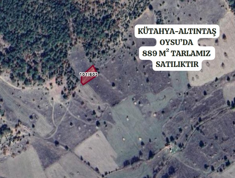 Fotoğraf