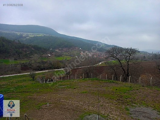 YATIRIMLIK...BİLECİK GÖLPAZARINDA 6780 M2 (ARAÇ TAKASLI) BAHÇE - BİLECİK GÖLPAZARI fotoğraf 14