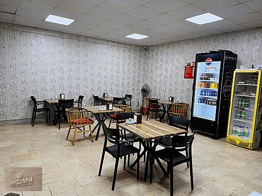 İYİ CİROLU TANTUNİ DÜKKANI - KOCAELİ KARTEPE fotoğraf 15