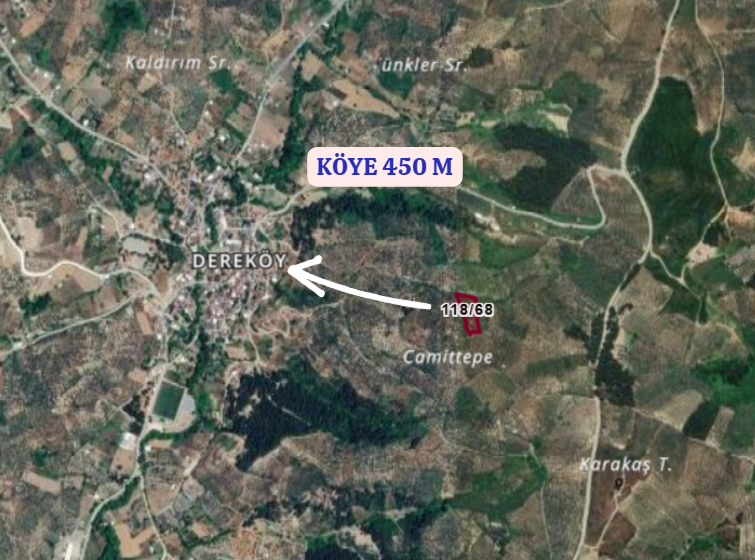BURSA MUDANYA DEREKÖY KÖYÜNDE 3.673 M² ZETİNLİK SATILIKTIR. - BURSA MUDANYA fotoğraf 5