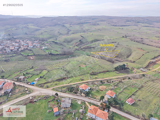 BAĞIRGANLI'DA MAHALLE MERKEZİNE YAKIN RESMİ YOLLU FINDIKLIK - KOCAELİ KANDIRA fotoğraf 2