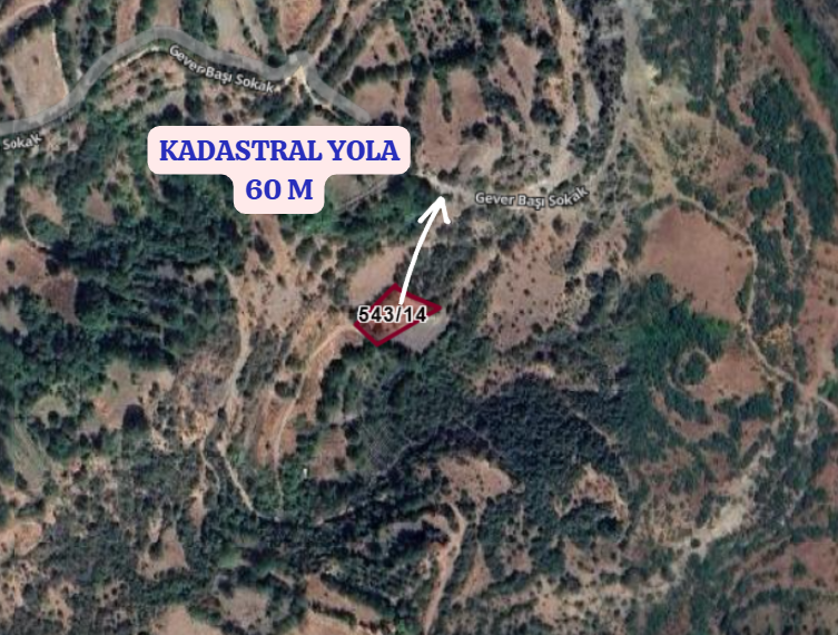   ESKİŞEHİR SARICAKAYA DAĞKÜPLÜ   KÖYÜNDE 786 M²  BAHÇE  SATILIKTIR - ESKİŞEHİR SARICAKAYA fotoğraf 3