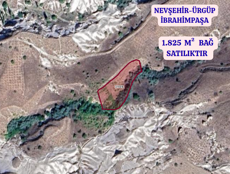 NEVŞEHİR ÜRGÜP İBRAHİMPAŞA  KÖYÜNDE  1.825  M²  BAĞ  SATILIKTIR - NEVŞEHİR ÜRGÜP fotoğraf 2