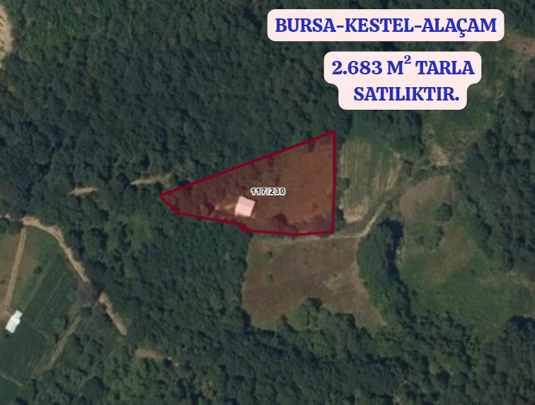 BURSA KESTEL ALAÇAM KÖYÜNDE 2.683 M² TARLA SATILIKTIR - BURSA KESTEL fotoğraf 2