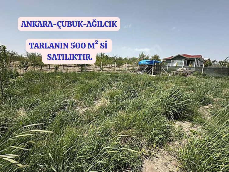 ANKARA ÇUBUK AĞILCIK KÖYÜNDE TARLAMIZIN 500 M² Sİ SATILIKTIR - ANKARA ÇUBUK fotoğraf 2