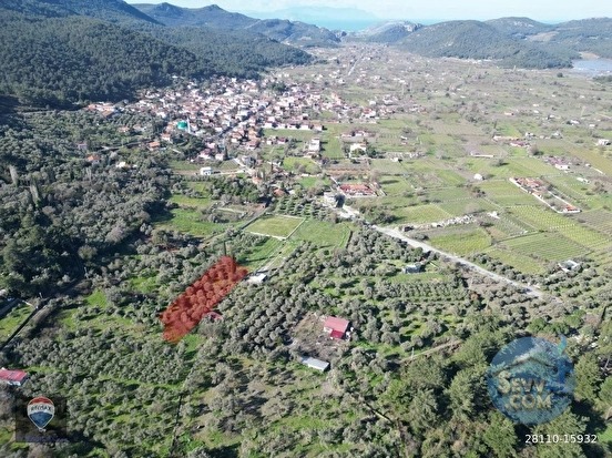 Kuşadası Kirazlıda fırsat bahçe - AYDIN KUŞADASI fotoğraf 4