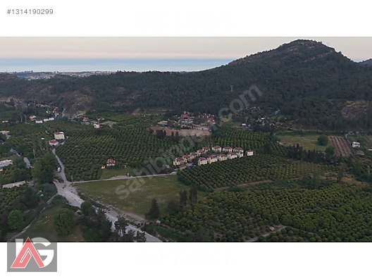 Kemer Kuzderede Yatırımlık & Verimli 15 Dönüm Narenciye Bahçesi - ANTALYA KEMER fotoğraf 16