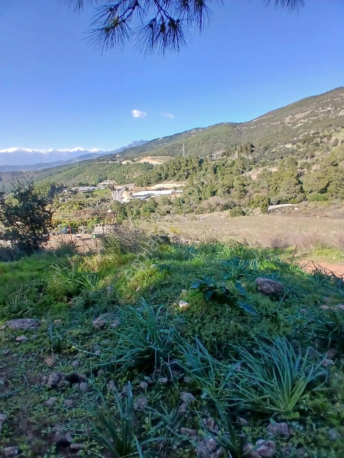 Belen Mahallesinde Satılık 3583 M2 Arsa - ANTALYA KUMLUCA fotoğraf 6