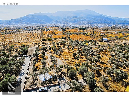 Kemalpaşa Sekiz Eylül Merkeze Yakın Satılık 3440 m2 Zeytinlik - İZMİR KEMALPAŞA fotoğraf 26