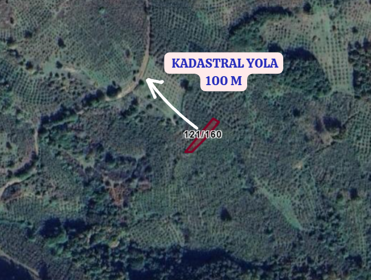 KOCAELİ KANDIRA YAĞCILAR  KÖYÜNDE 426  M² FINDIKLIK  SATILIKTIR - KOCAELİ KANDIRA fotoğraf 3