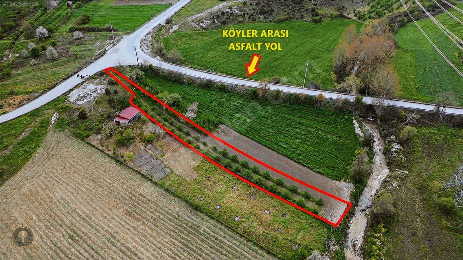ASFALT YOLA CEPHE HOBİ BAHÇELİK KAÇIRILMAYACAK HARİKA FINDIKLIK - KOCAELİ KANDIRA fotoğraf 9