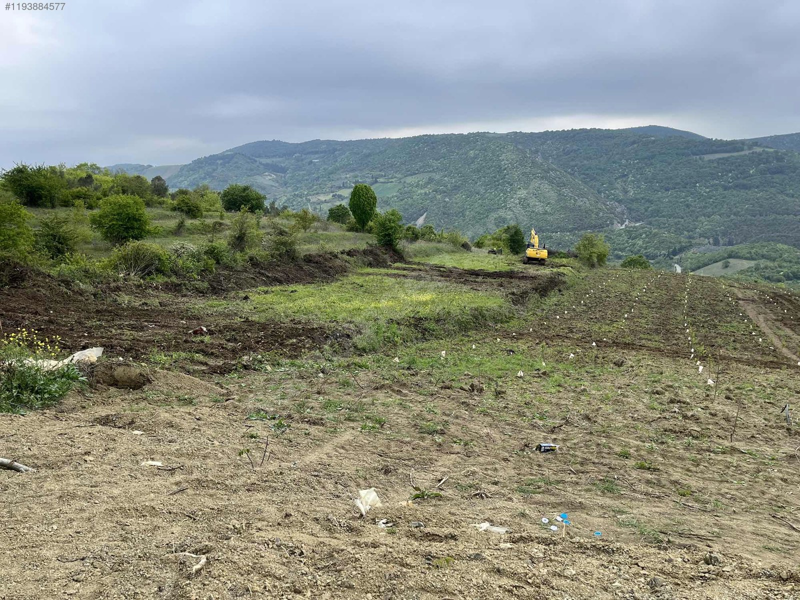 YALOVA ALTINOVA GEYİKDERE KÖYÜ’NDE 13.708 M²  TARLA SATILIKTIR - YALOVA ALTINOVA fotoğraf 8