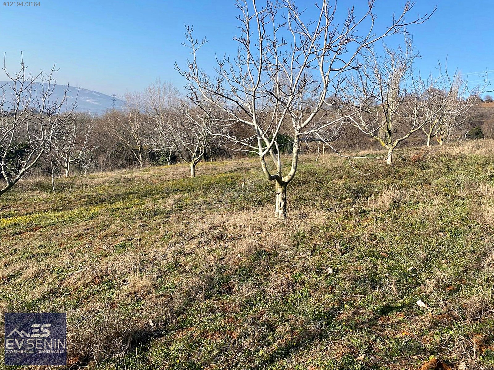 BURSA KARACABEY YARIŞ'TA DOĞA MANZARALI SATILIK 10.150 M2 ARAZİ - BURSA KARACABEY fotoğraf 3
