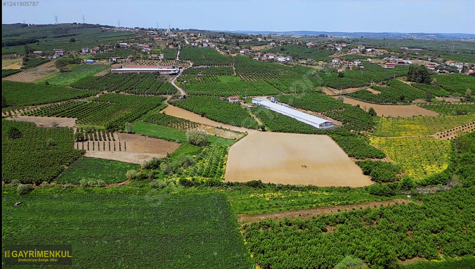 11.752 M² FIRSAT FINDIK BAHÇESİ SAKARYA KAYNARCA ZİAHMET MAH. - SAKARYA KAYNARCA fotoğraf 44