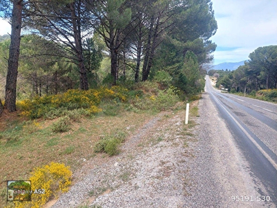 BERGAMA KOZAK YAYLASI YUKARIBEY MAH DE BERGAMA AYVALIK ANA YOL KENARI 2410 m2 FI - İZMİR BERGAMA fotoğraf 5
