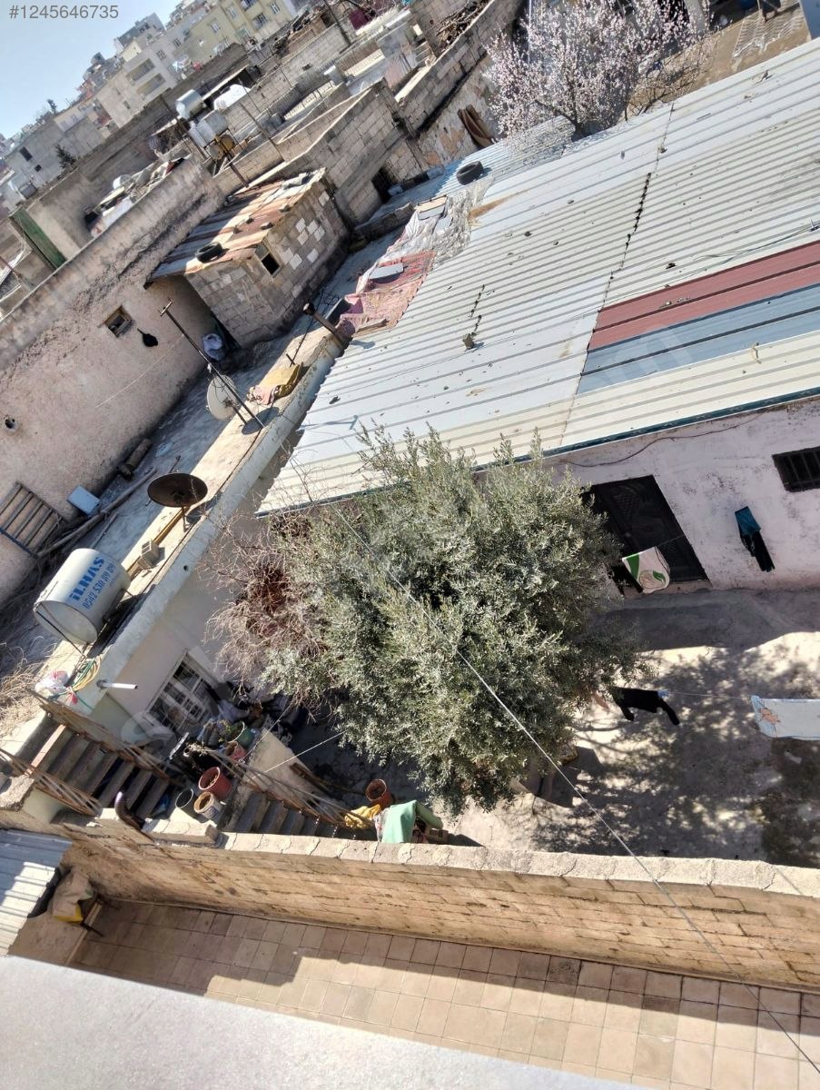 ŞANLIURFA BOZOVA GÖLBAŞI(ADALI) MH’NDE 234 M² AAVLULU KERPİÇ EV SATILIKTIR - ŞANLIURFA BOZOVA fotoğraf 4
