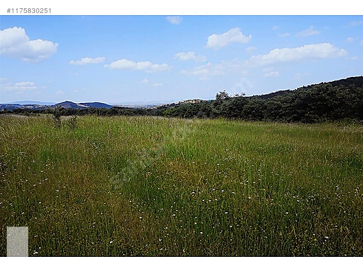ÇANAKKALE BAYRAMİÇ MURATLAR KÖYÜ 45.000 m2 TARLA - ÇANAKKALE BAYRAMİÇ fotoğraf 6