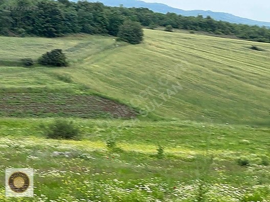 İNEGÖL DÖMEZ MH SATILIK TOPLAM 3.000M2 - BURSA İNEGÖL fotoğraf 15