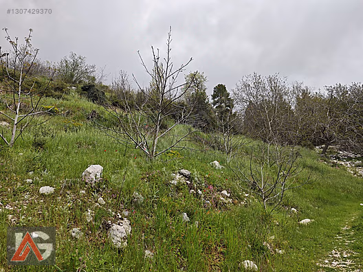 KARACAÖREN 877m2 yol cepheli - ANTALYA KUMLUCA fotoğraf 13