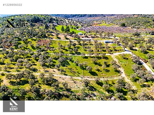 Kemalpaşa Vişneli Satılık 370 m2 Bahçe Elektrik Su Yol - İZMİR KEMALPAŞA fotoğraf 25