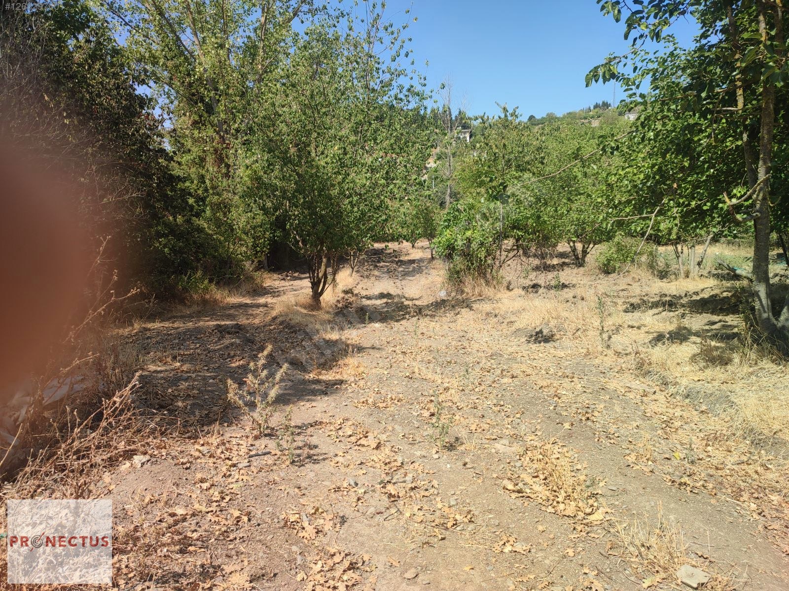 AVCIKÖY MAH. ASFALT YOLA CEPHE 2648 M2 KONUT İMARLI ARSA. - KOCAELİ KARAMÜRSEL fotoğraf 2