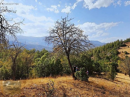 konyaaltı Doyranda 629m tapulu arsa - ANTALYA KONYAALTI fotoğraf 7