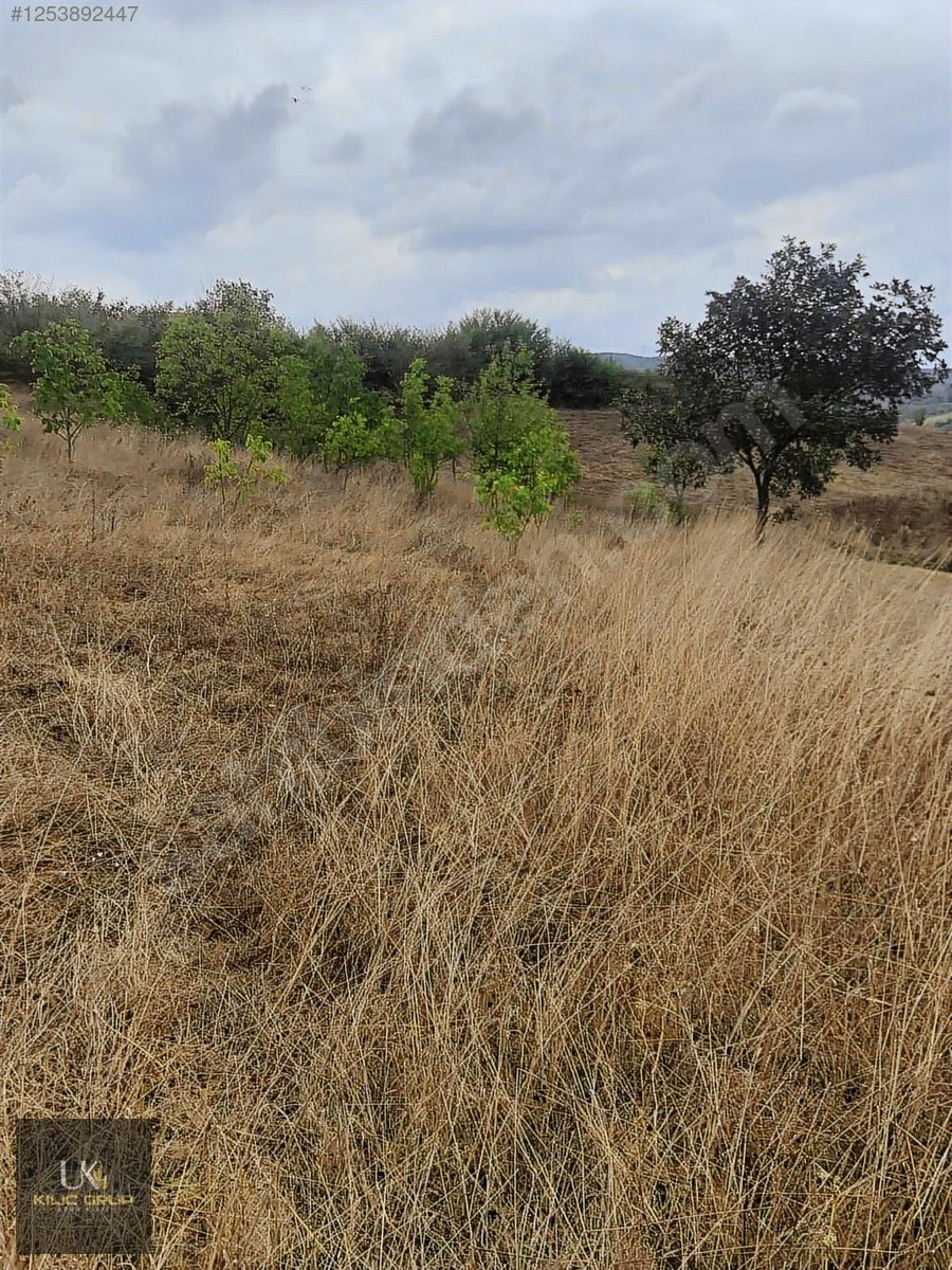 İzmit Sarışeyh Satılık Köy İçi Arsa - KOCAELİ İZMİT fotoğraf 25