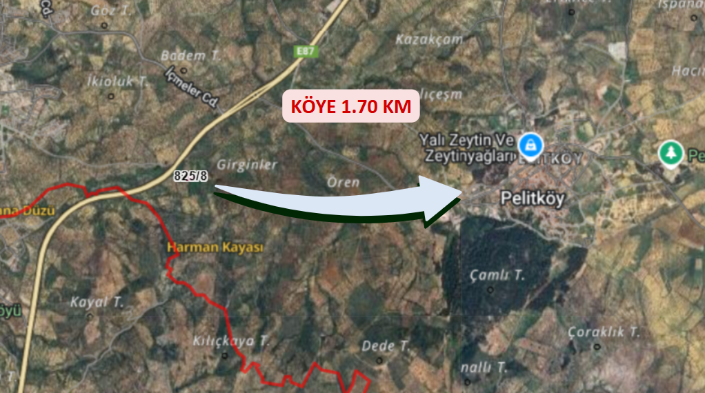 BALIKESİR BURHANİYE PELİTKÖY KÖYÜNDE 496 M² ZEYTİNLİK SATILIKTIR. - BALIKESİR BURHANİYE fotoğraf 4