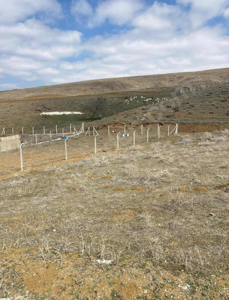 ANKARA ELMADAĞ HASANOĞLU HAVUZBAŞI KÖYÜNDE 600 M²  ARSA SATILIKTIR - ANKARA ELMADAĞ fotoğraf 12